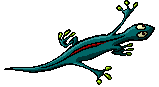 external image th_movinglizard.gif